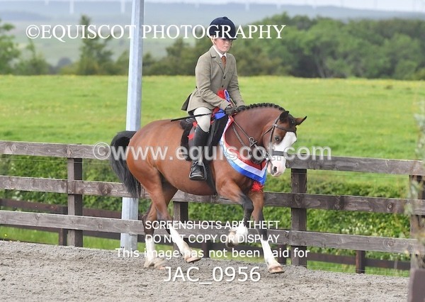 JAC_0956 - CHAMPIONSHIPS AND SUPREME