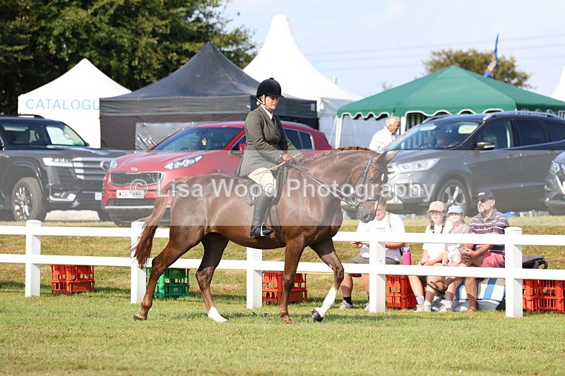 3E7A8466 - Class 3: Rising Star S/L Hunter