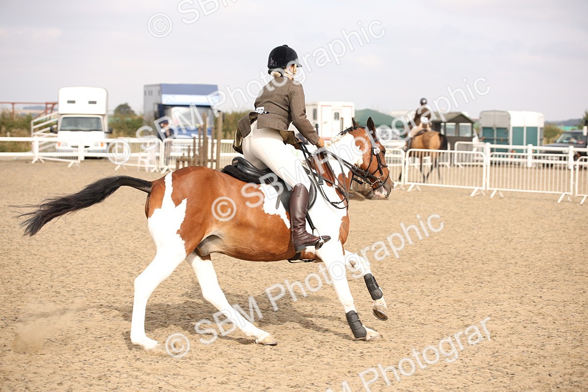 SBM_17140 - Class 409b - Working Veteran 80cm (20+)