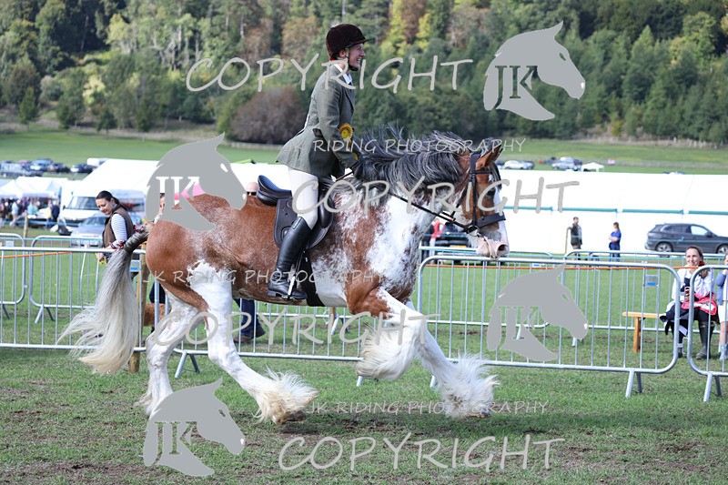 APP_3786 - Class 8 Ridden Class