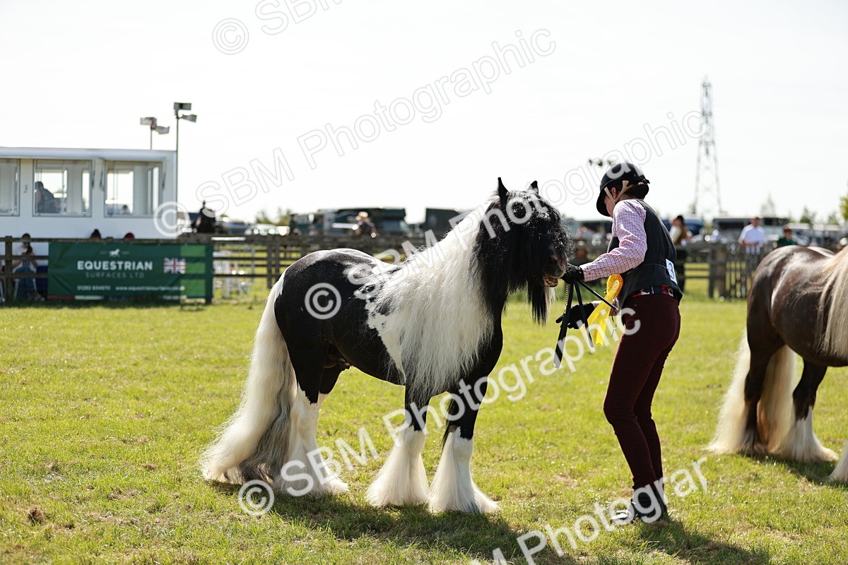 SBM_08909 - Class 63-65 - Traditional Gypsy Cobs In Hand & Ridden