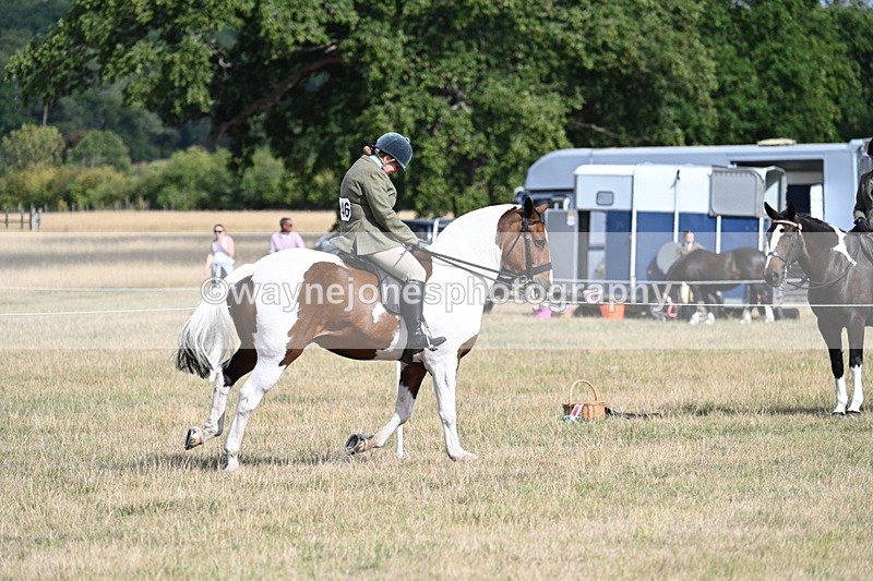 WJ7_7445 - Class 14 Ridden Coloured