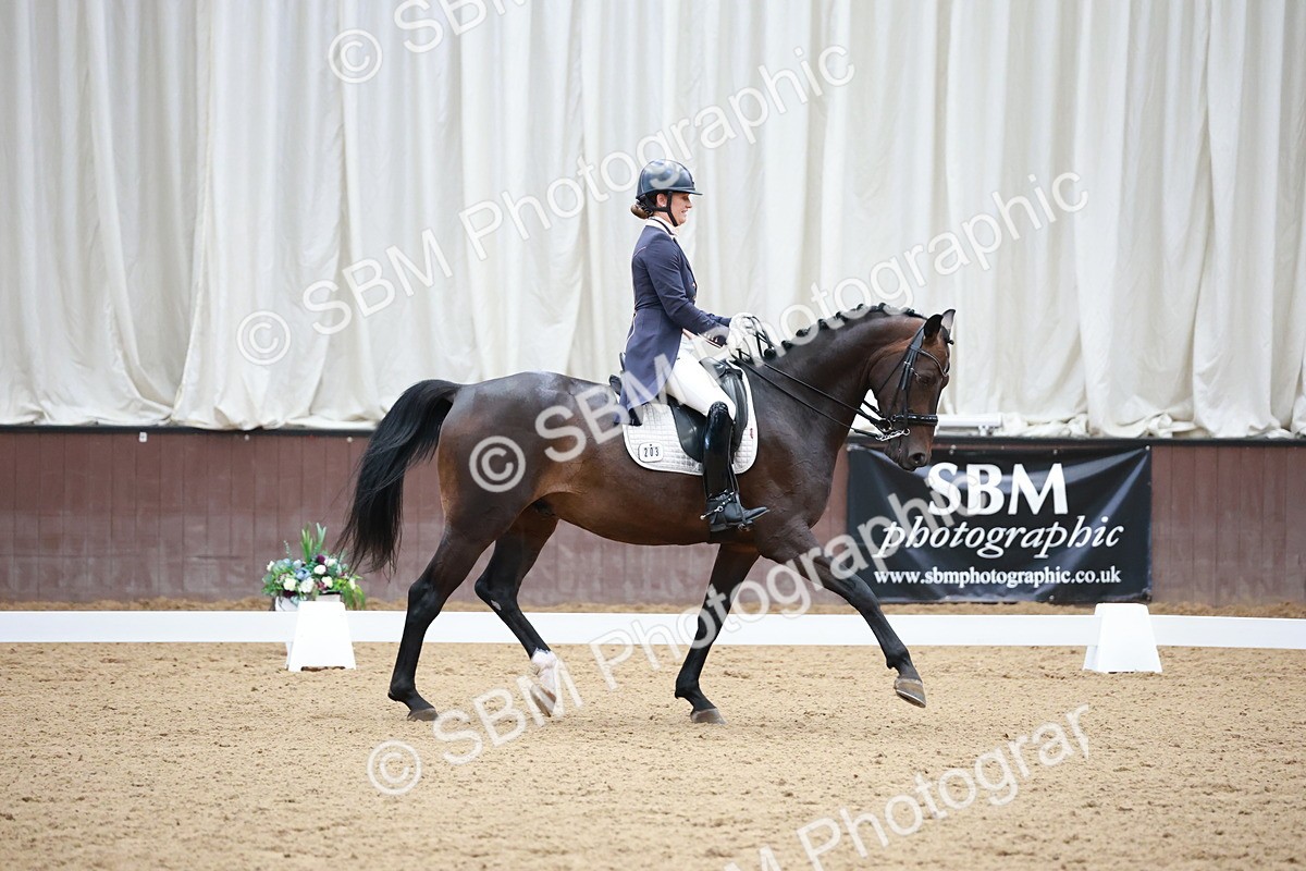 SBM_009502 - Class 13 - FEI PSG - 11.06-12.34