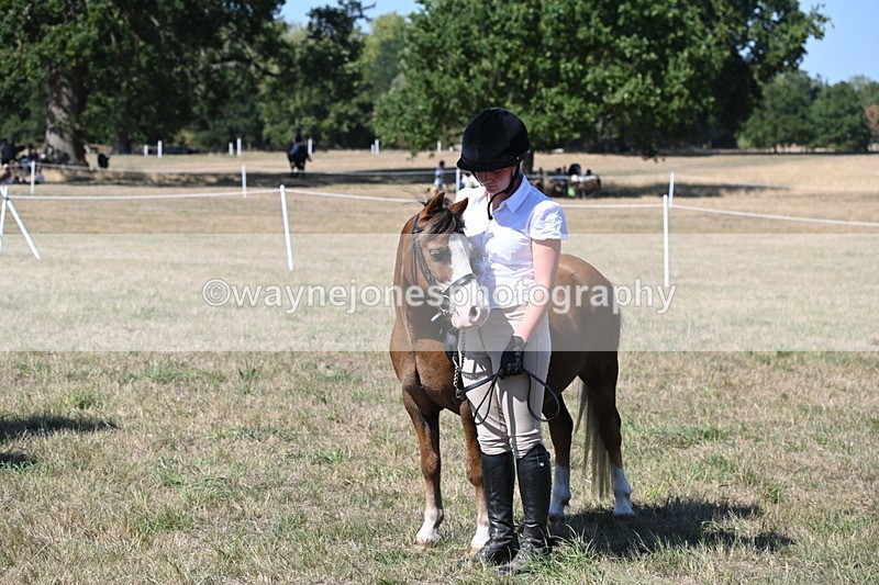 WJ6_9306 - Class 40 Cheekiest Pony/Horse