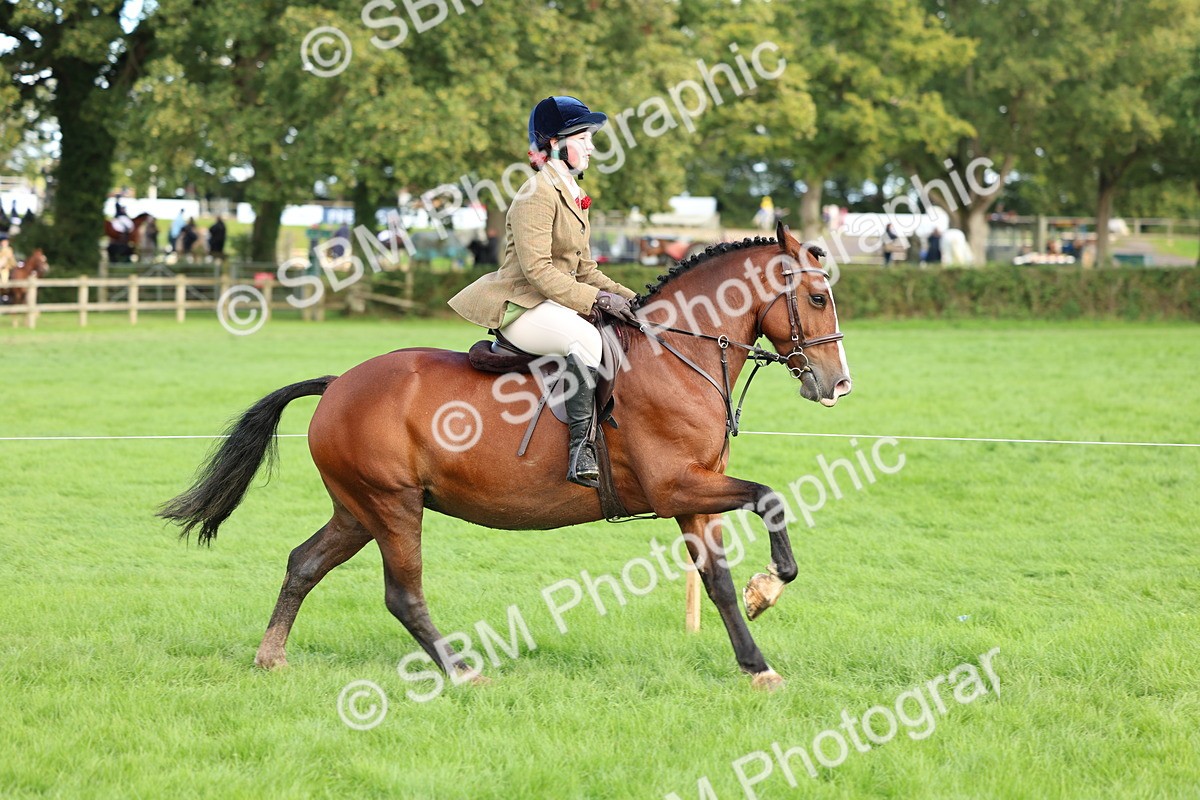 SBM_45513 - S33 - Working Hunter Pony