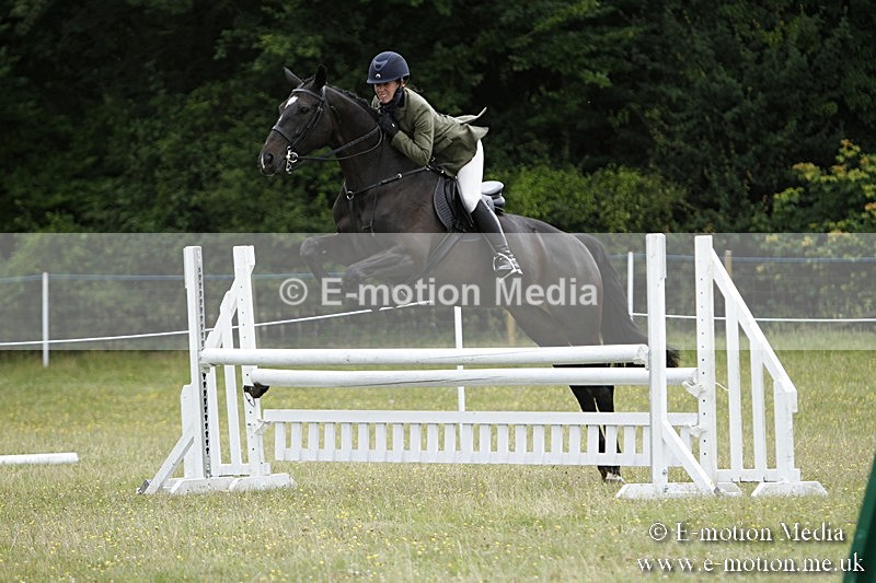 BVR160717-2191 - Ring 3 BVRC Show 16/07/17