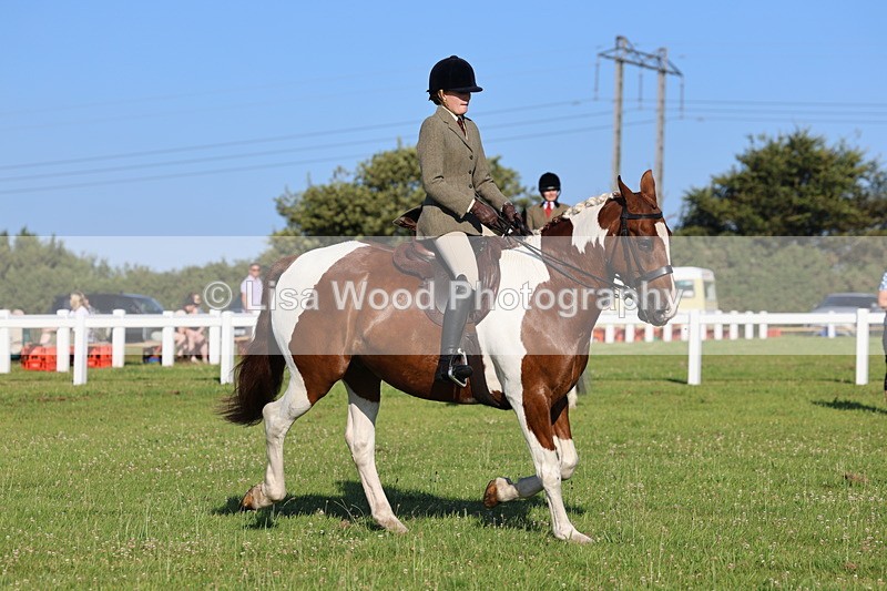 IMG_1265 - Class 27: Ridden Plaited Coloured Horse