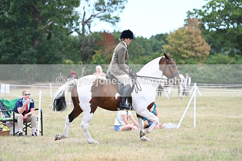 WJ7_4907 - Class 12 Ridden Cob