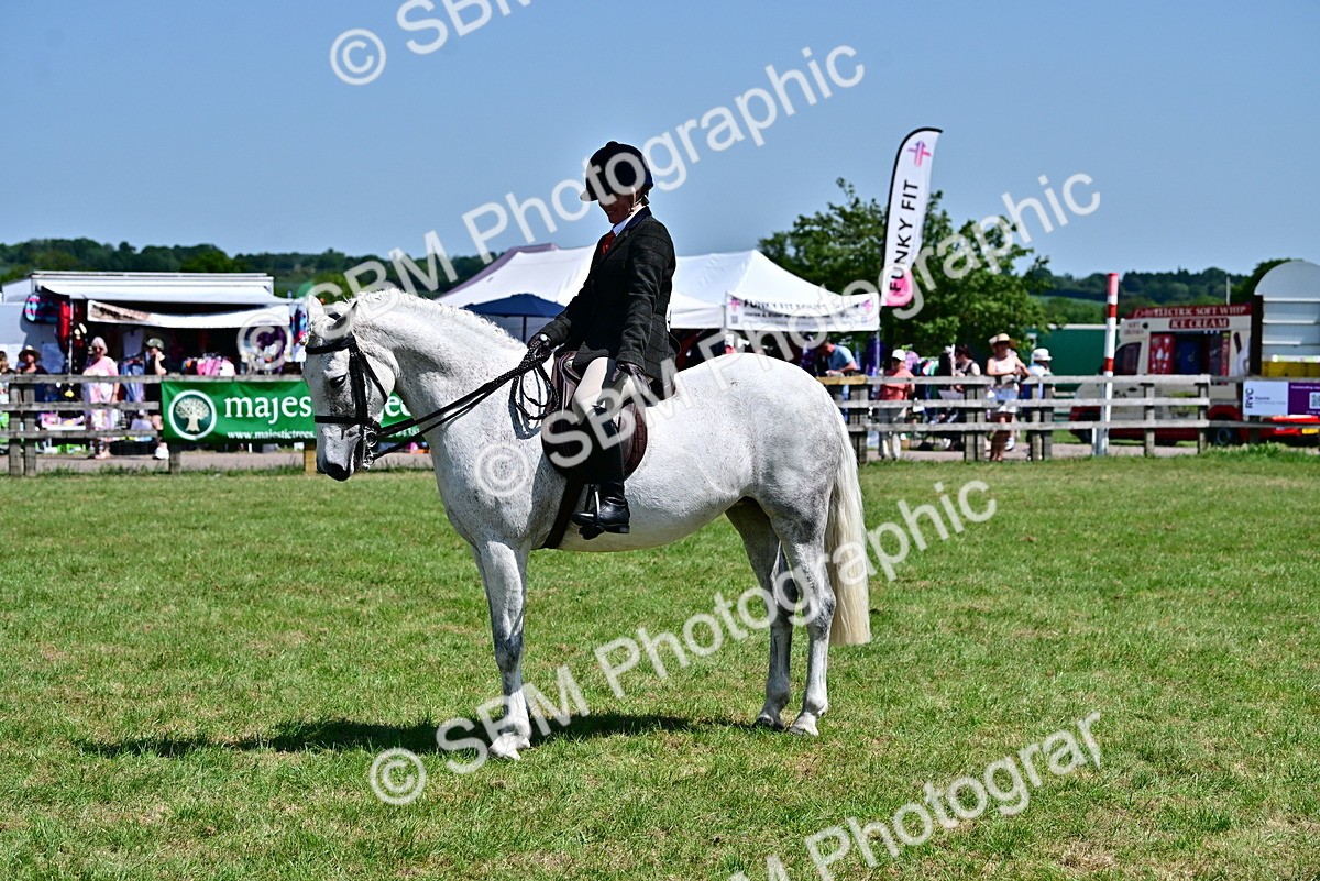 SBM_17467 - Class 95-97 - BSPS LHS Performance Ponies