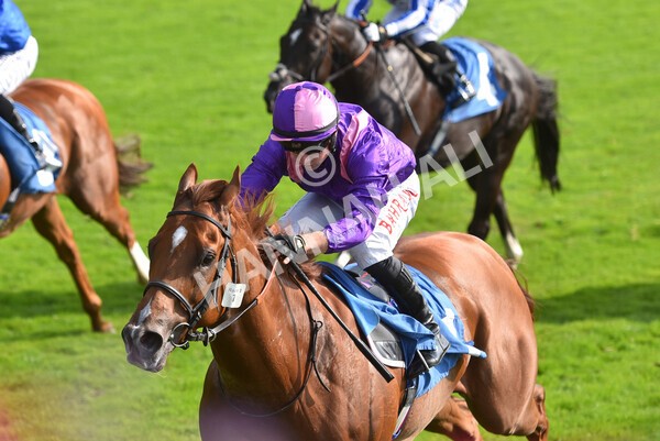 yr05092021r3-21 - Race 3 3.15pm The BioWaveGo Garrowby Stakes