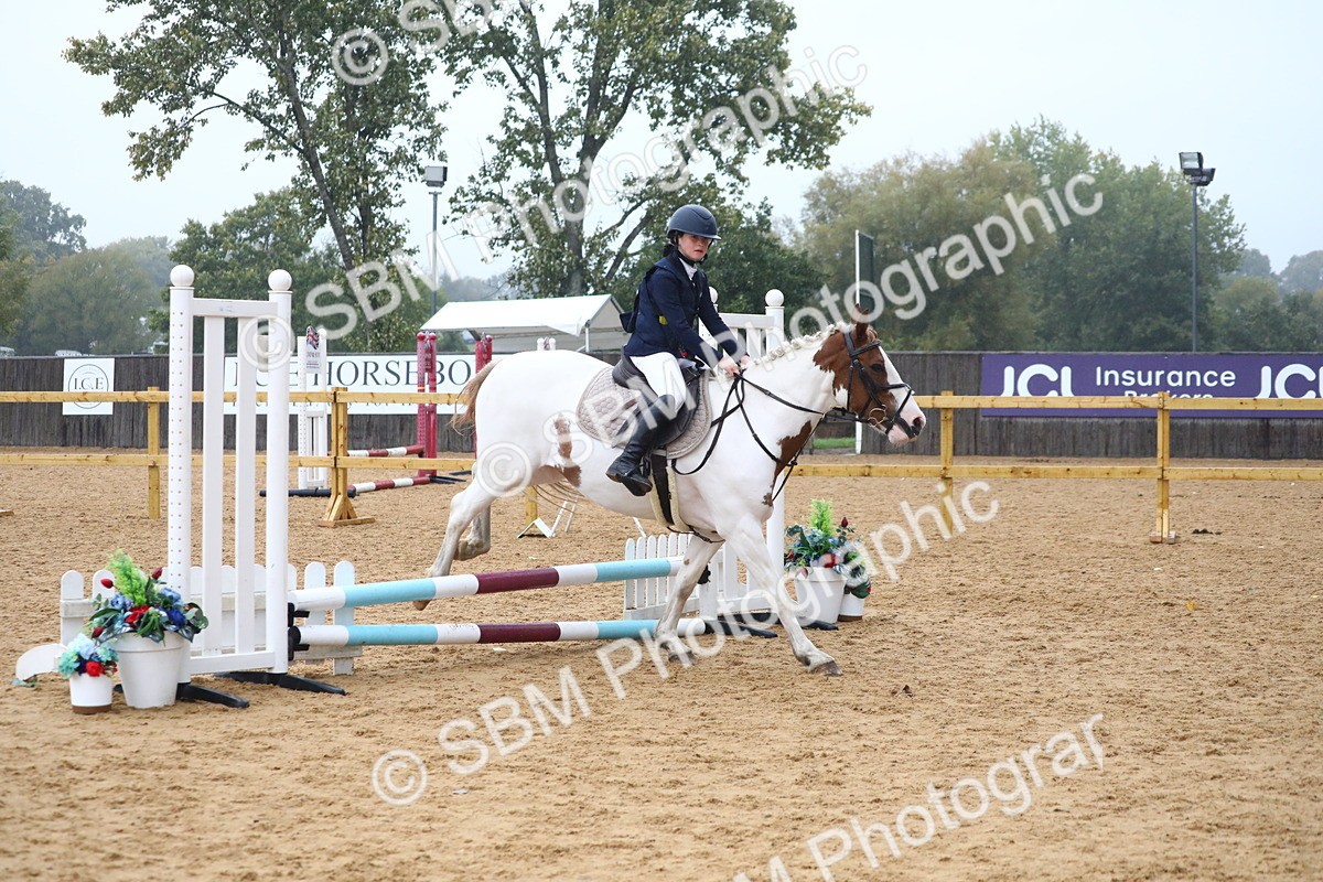 SBM_71707 - J4 - Mini Tour Junior Pony 45cm Championship