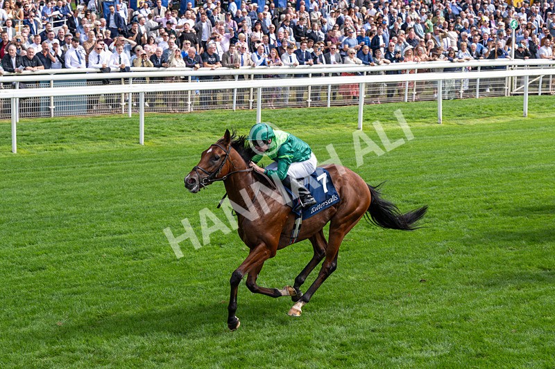 190826-Race 2-Haffner-0227 - Race 2 14.25pm Tattersalls Acomb Stakes