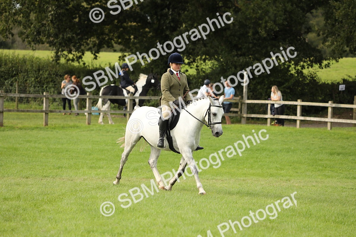 SBM_71534 - S41 - Ridden Equitation (Best Rider)
