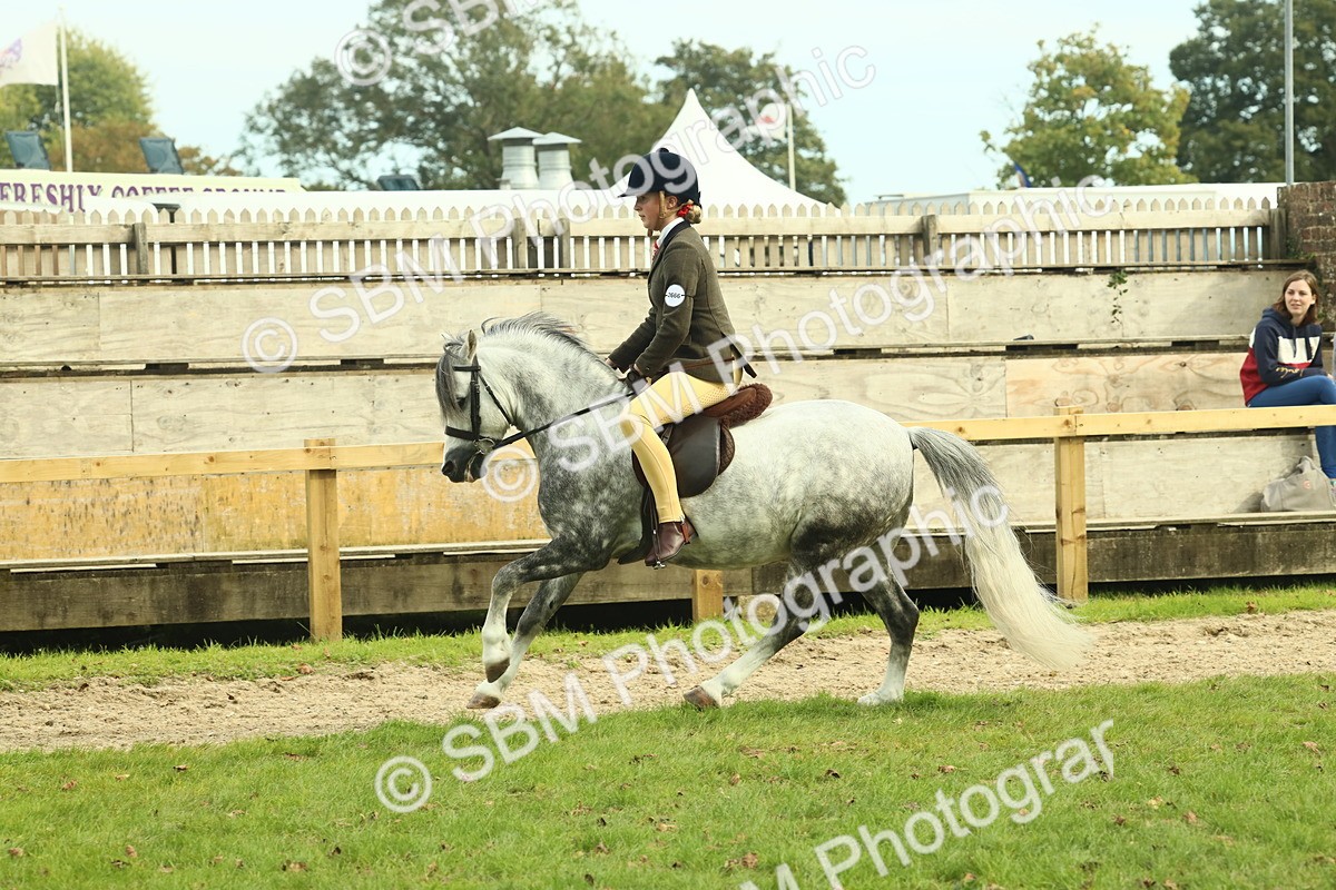 SBM_69872 - S59 - Mountain & Moorland Ridden Small Breeds