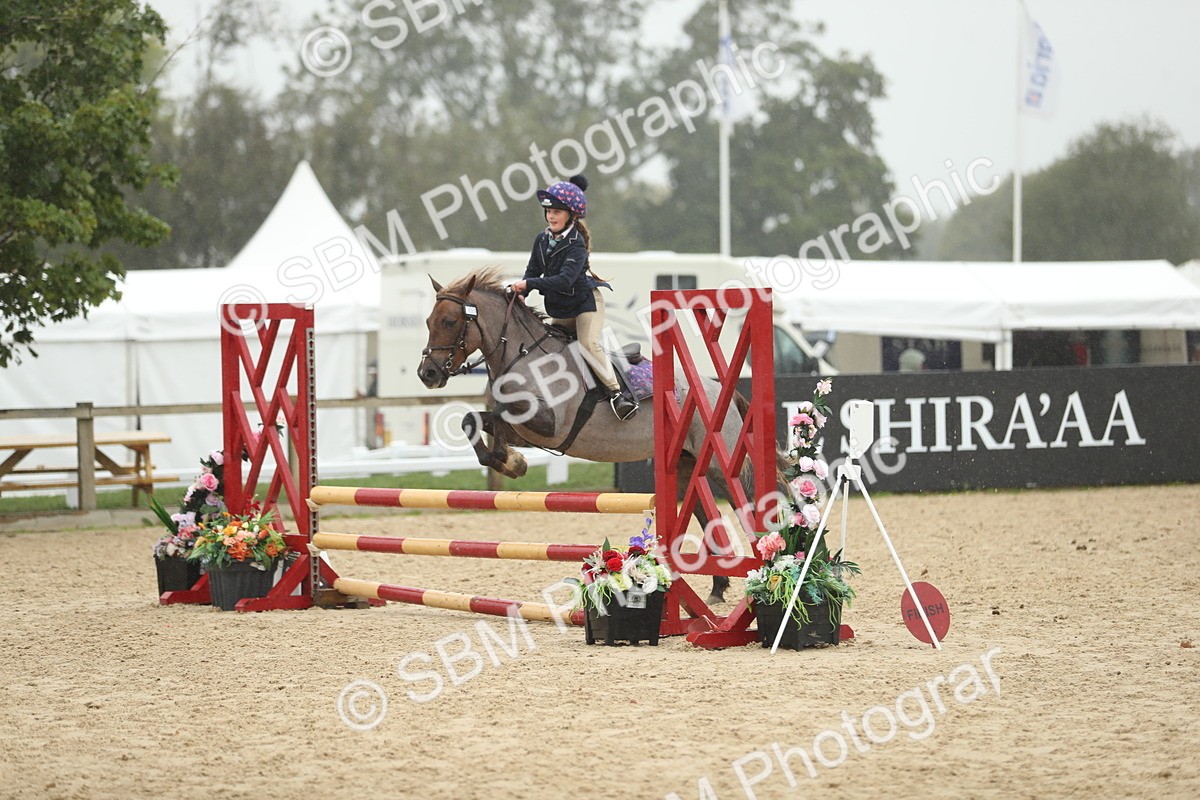 SBM_74030 - J16 - Junior Pony 75cm Championship