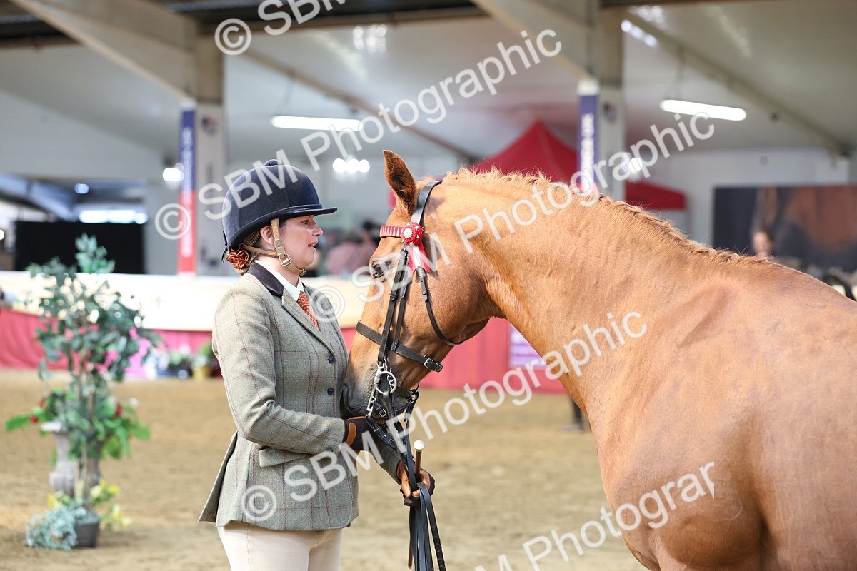 SBM_23362 - Class 903 - Supreme Final - IH Pre Vet