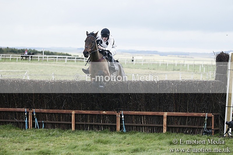 PtP 031217 488 - Hursley Hambledon Point-to-Point Larkhill 03/12/17