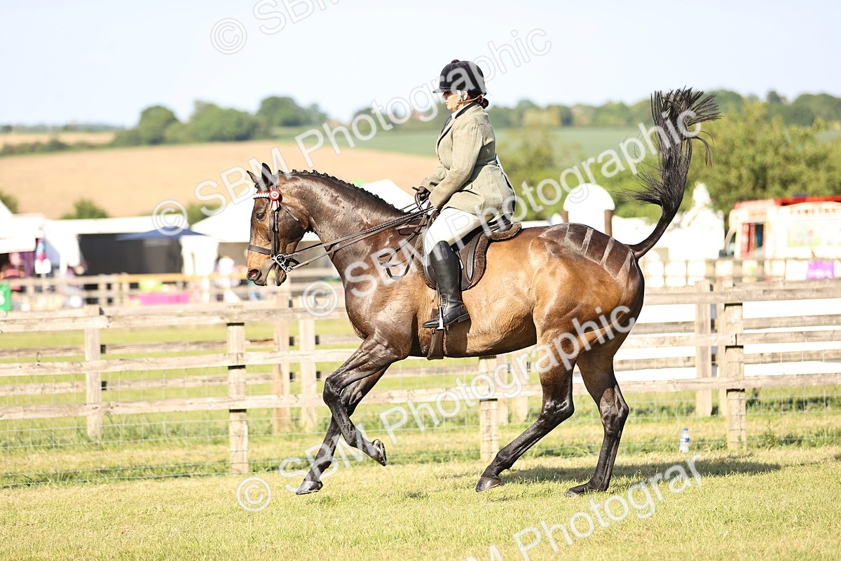 SBM_19756 - Class 87-88 - RIHS BSHA Riding Horses
