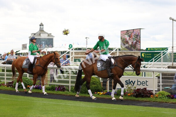 yr22052022r8e-100 - ROR - Parade Ring York
