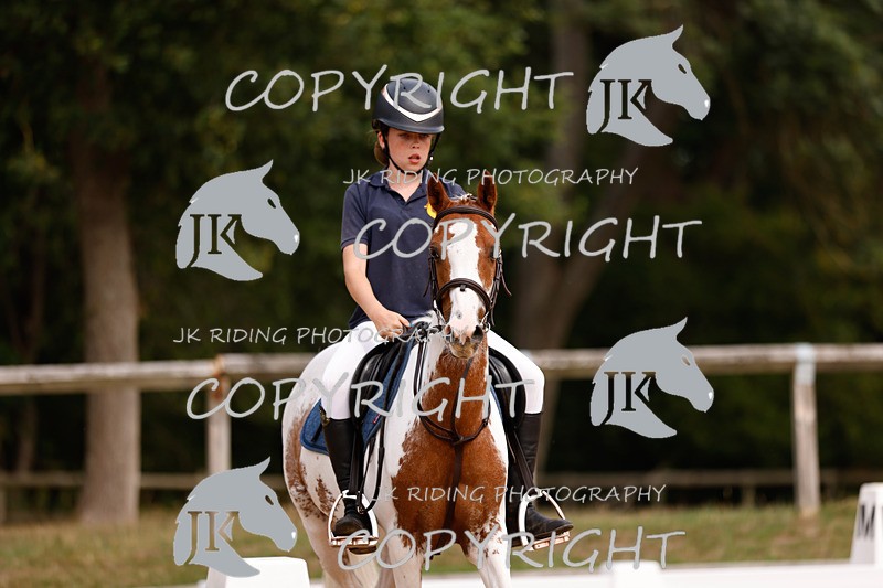_R6A2613 - Dressage Morning