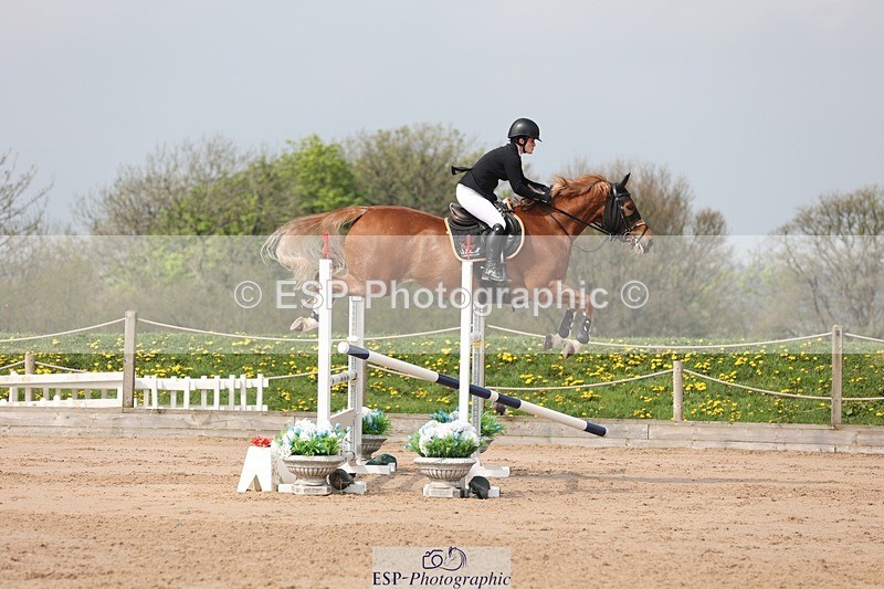 250424-110421-03374 - Cls 33 Young Horse 7yr old