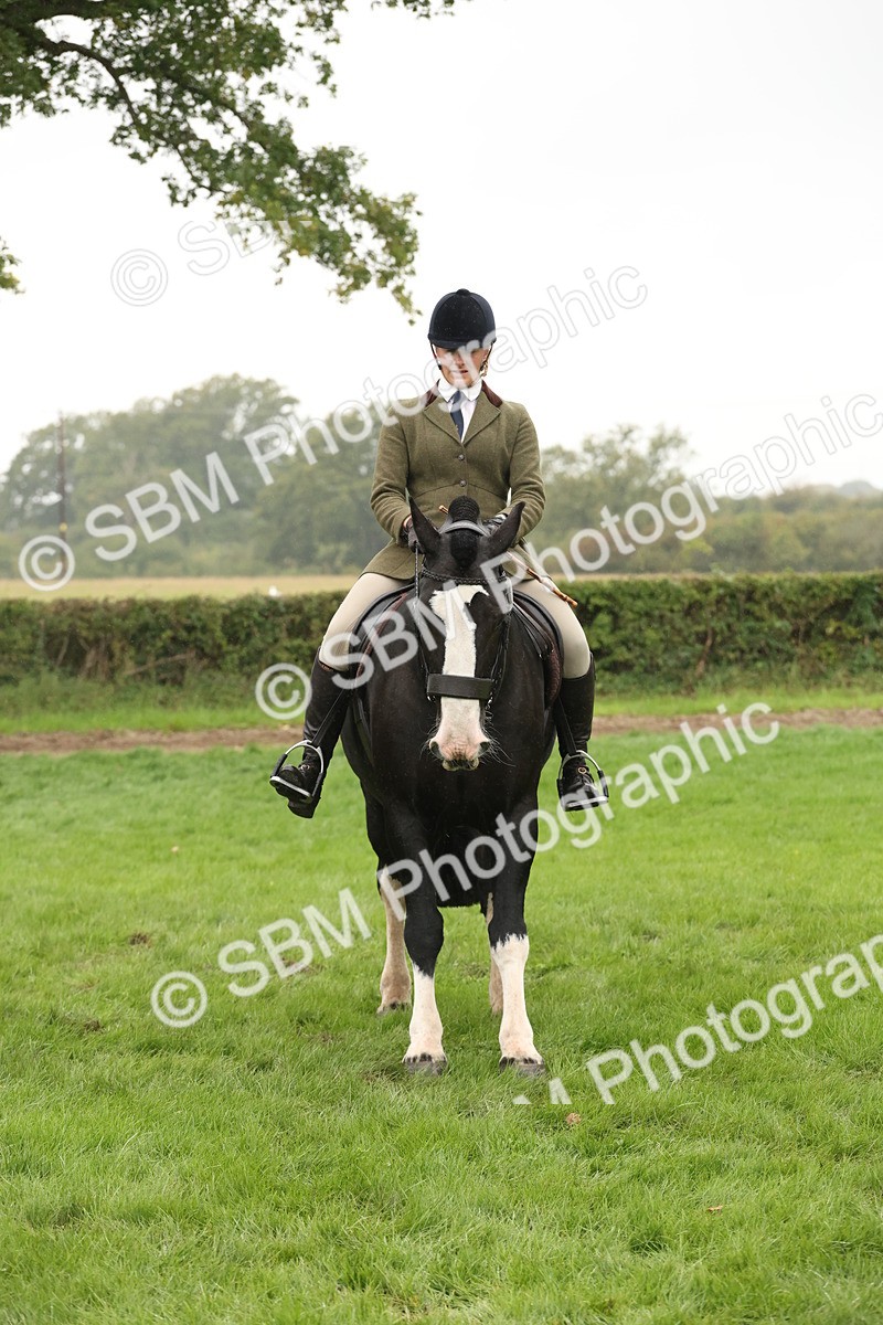 SBM_69831 - S69 - Show Cob Ridden