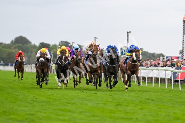 200825-Race 5-Santorini Star-1803 - Race 5 4.10pm Sky Bet Stayers Handicap