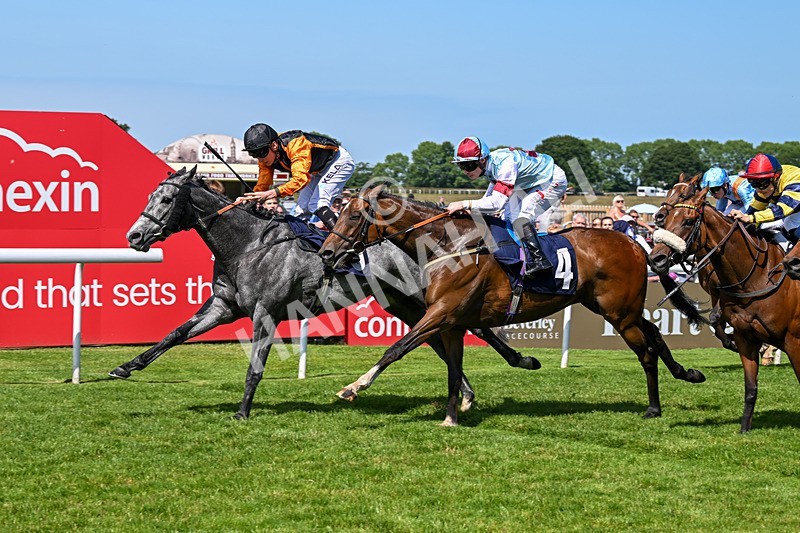 250624-Race 3-Island Native-5427 - Race 3