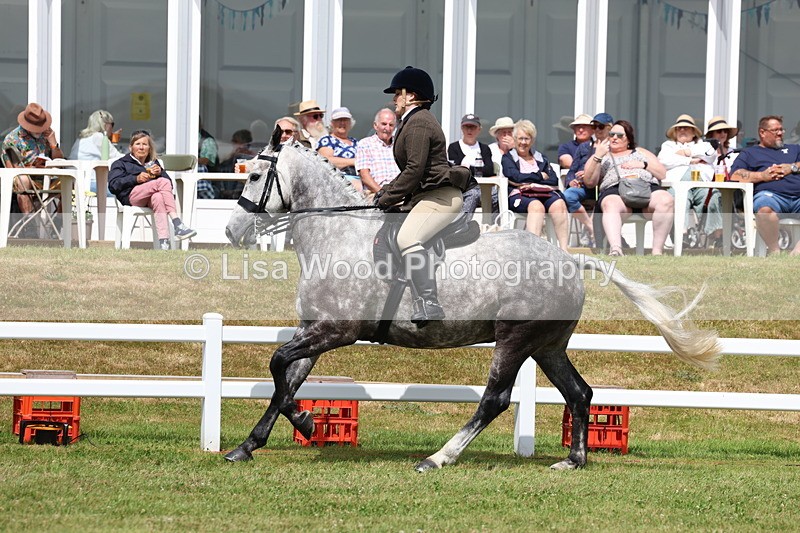 3E7A0581 - Rising Star Ridden Championship