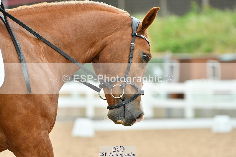 230630A-115213-01710 - Cls 7 Elementary 45