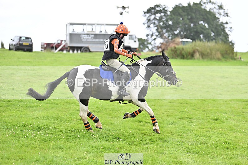 240804-144437-15454 - 555-Jack_Wish-WESTERLAKE_BUTTONWEED