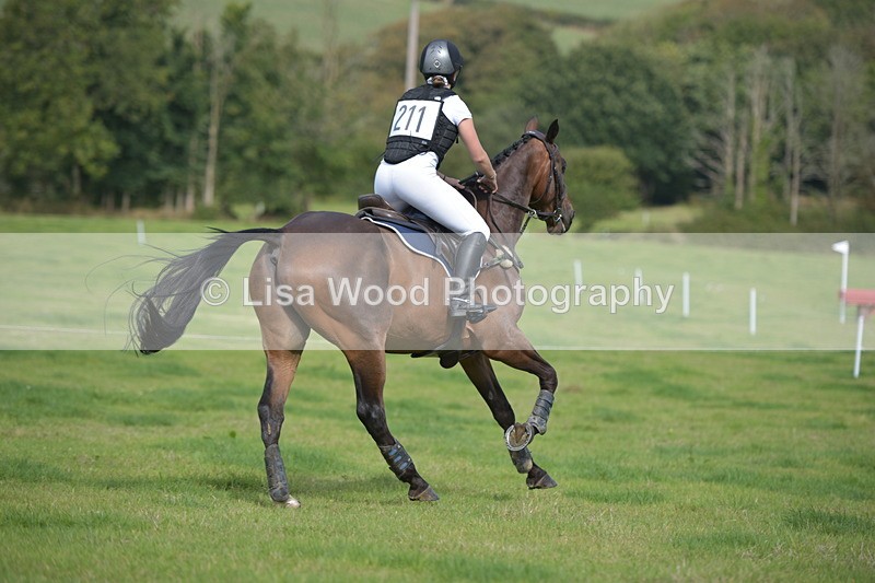 RAY_8973 - Class 2: Trekenning Open: Wall