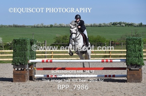 BPP_7986 - CLASS 2 Club/ Unaffiliated 80cms Open
