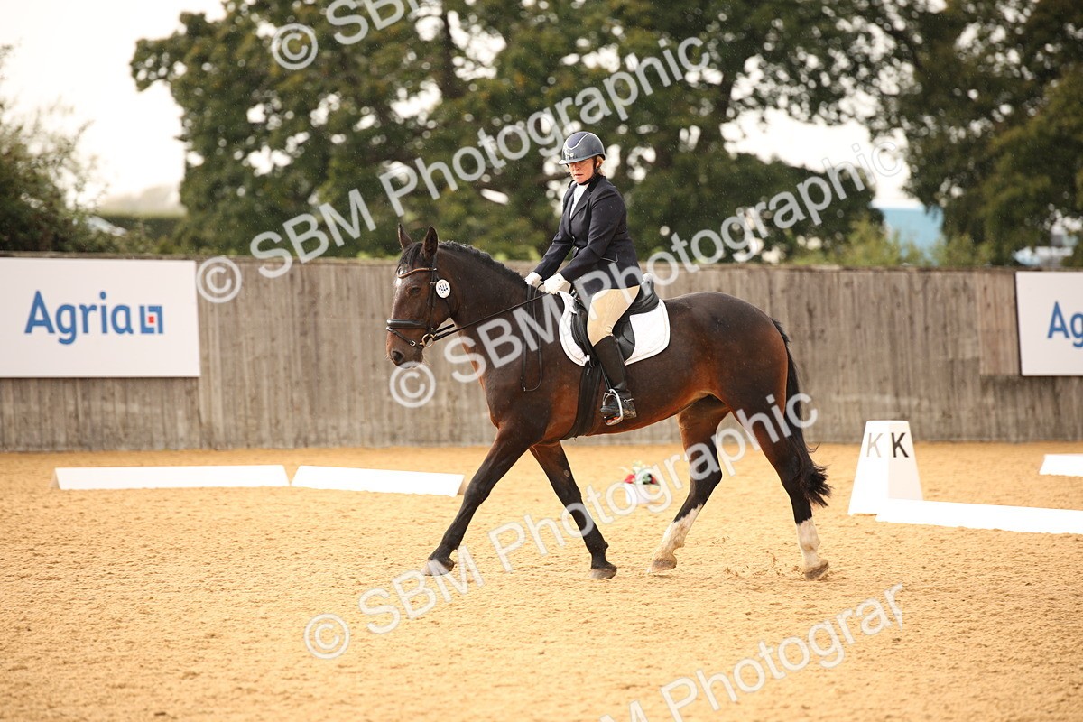 SBM_12342 - D3 Small  Tour Championship Intro A