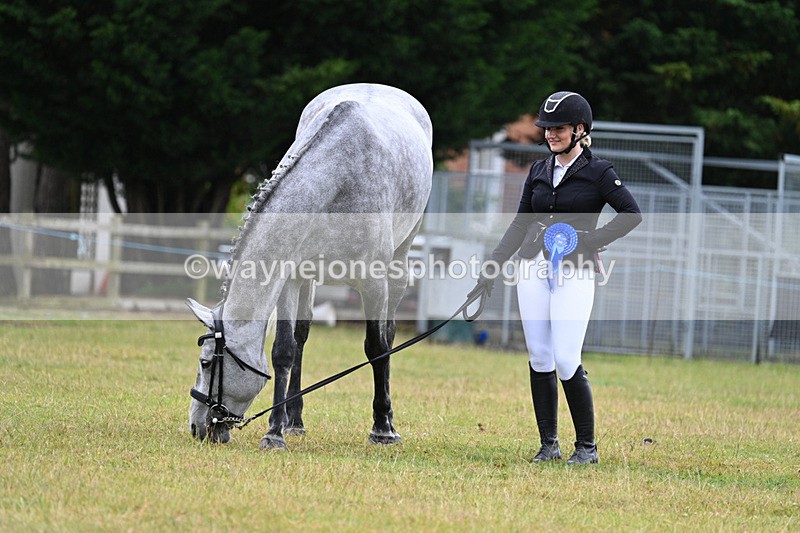 WJ7_6391 - Class 4a Prettiest Mare over 14hh