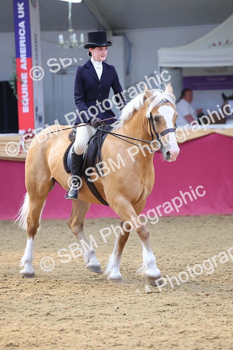 SBM_24455 - Class 906 - Supreme Final - Ridden Pre Vet