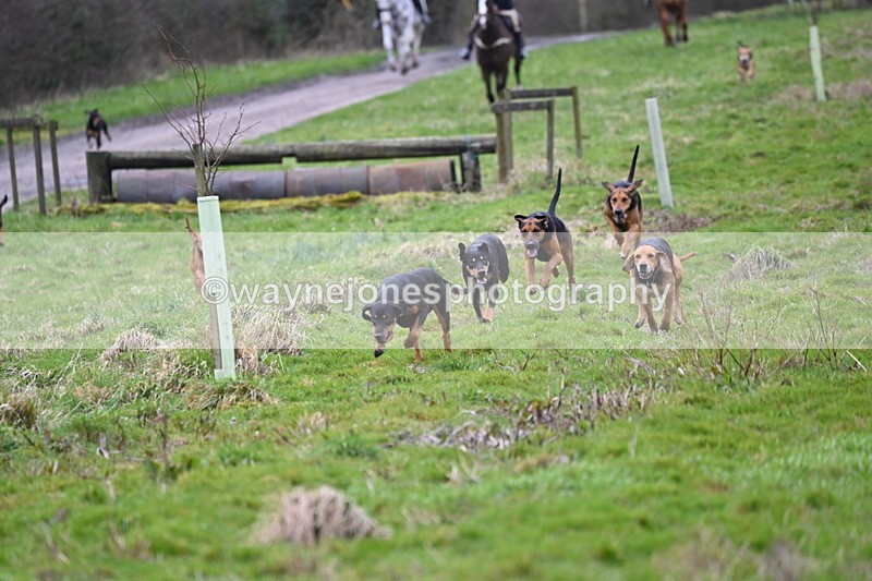 WJ6_8183 - Cam B