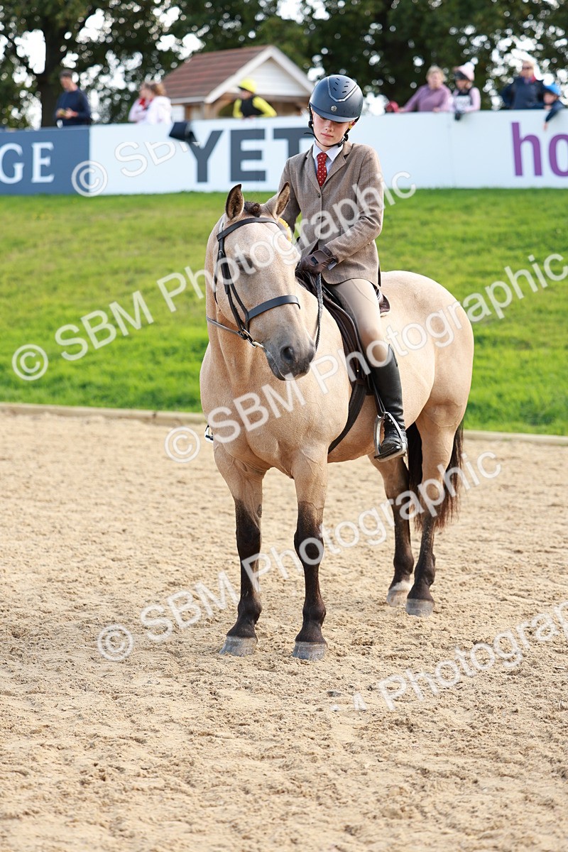 SBM_17447 - E4b - Eventers Challenge 60cm Open