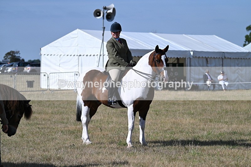 WJ7_2889 - Class 8 Ridden Tack & Turnout