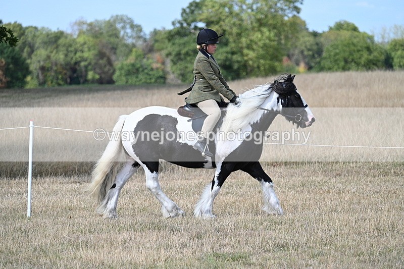 WJ7_7096 - Class 14 Ridden Coloured