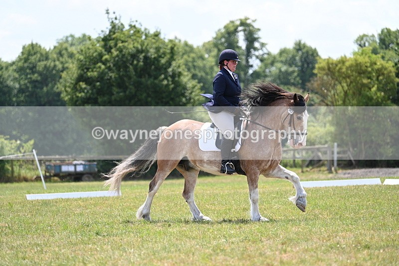 WJ7_8276 - Time 13:35 to 13:40