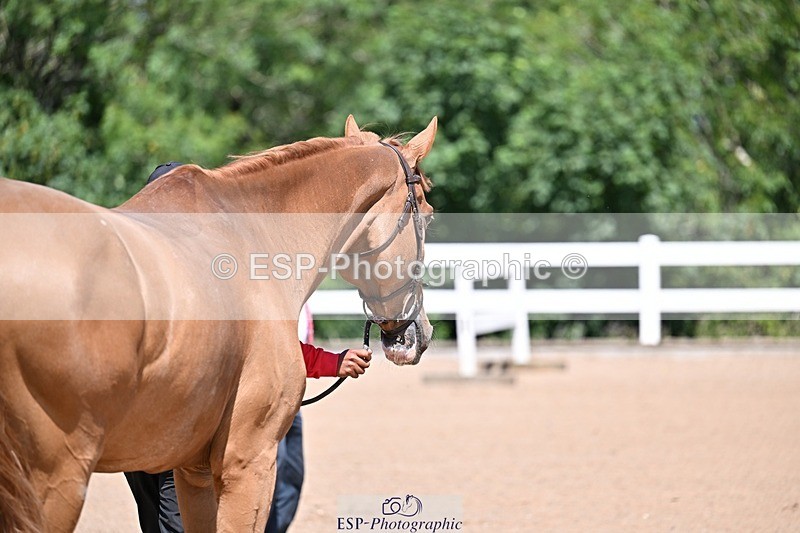 250716-123027-00022 - Trot Up 12.30 to 1.30