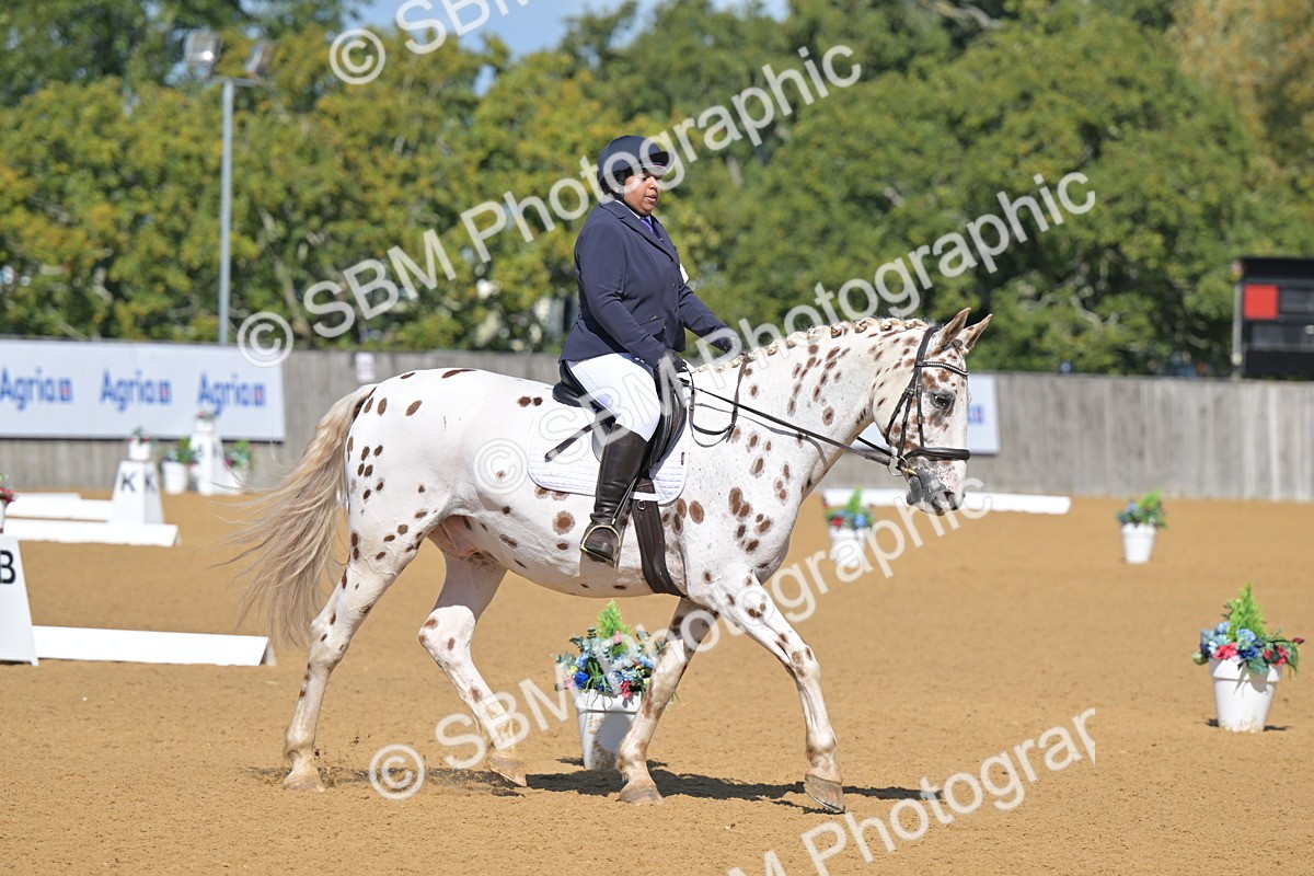 SBM_07889 - D8 - Small Tour Championship Prelim 1