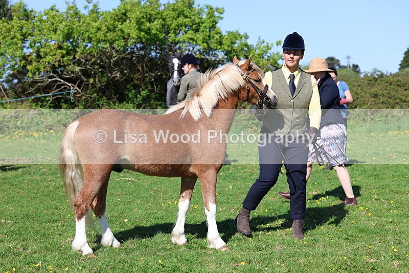 3E7A9078 - Class 15: Two/Three Year olds