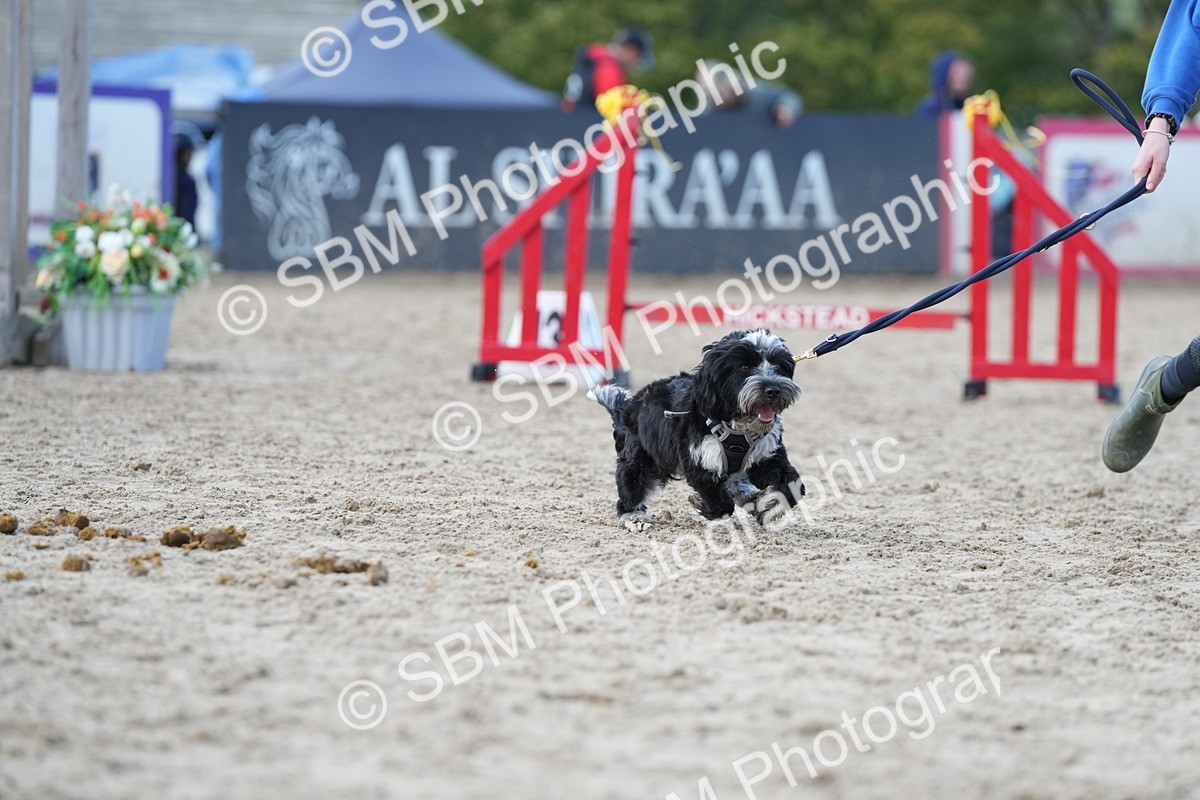 SBM_29189 - J43 - Horse & Hound Open 50cm