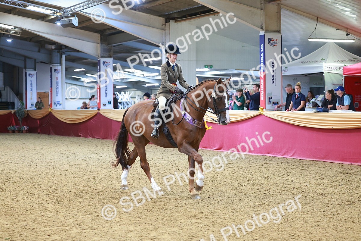 SBM_12711 - Class 103 - HOYS Veteran Qualifier - Ridden Pre Vet