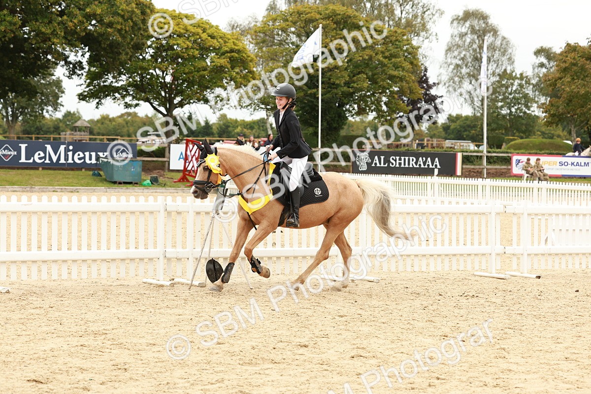 SBM_63923 - J12 - Junior Pony 55cm Championship