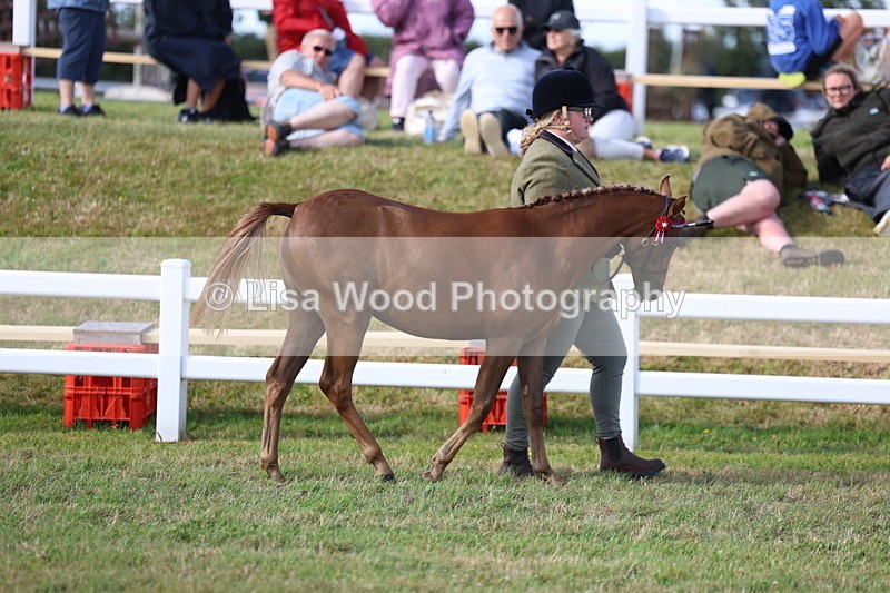 3E7A3796 - Supreme Championship