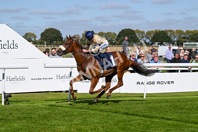 180924-Race 2-American Style-3973 - Race 2