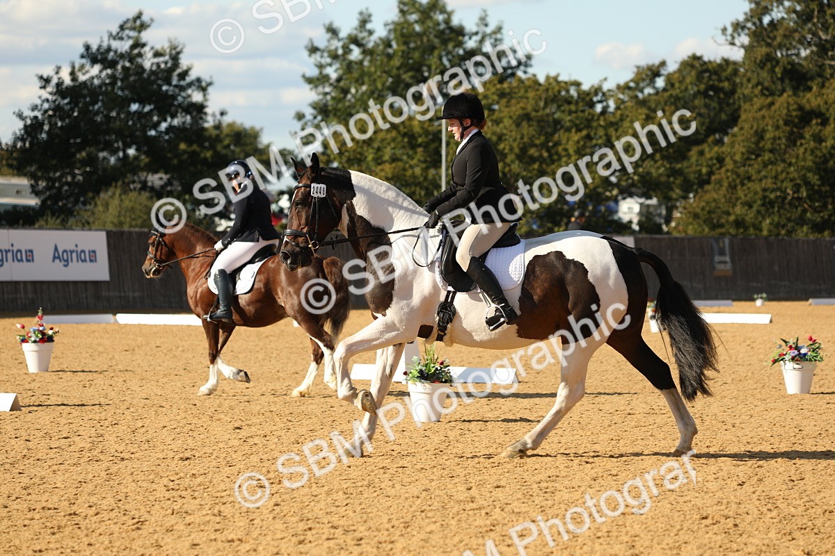 SBM_26847 - D17 - Grand Tour Championship - Novice 27